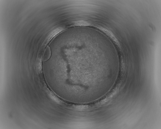 X0000112780889200908201526