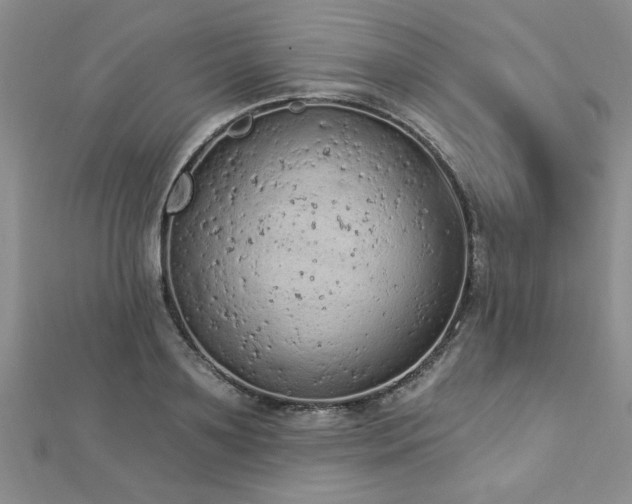 X0000112780891200908201526