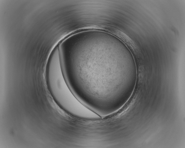 X0000112780892200908201526