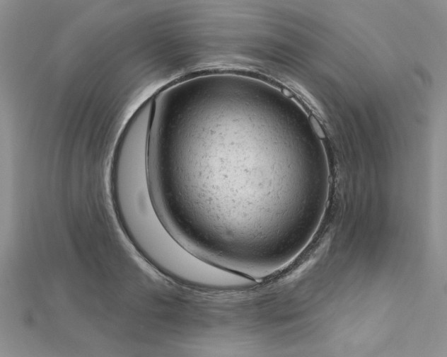 X0000112780893200908201526