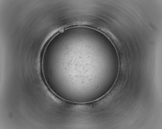 X0000112780894200908201526