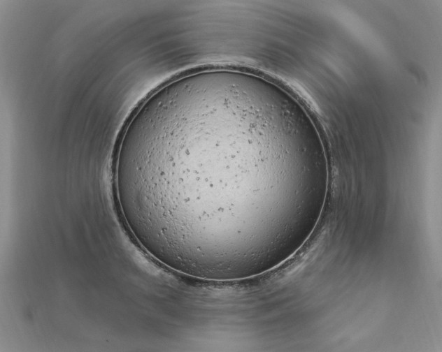 X0000112780895200908201526