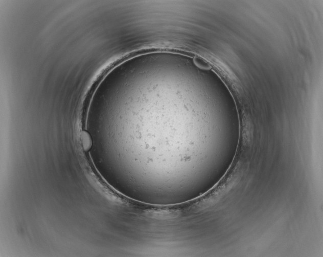 X0000112780896200908201526