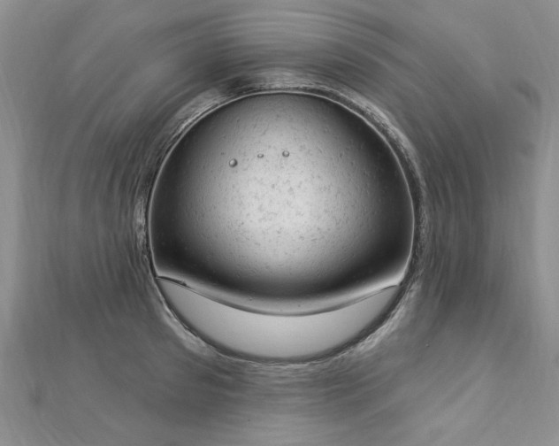 X0000112780897200908201526