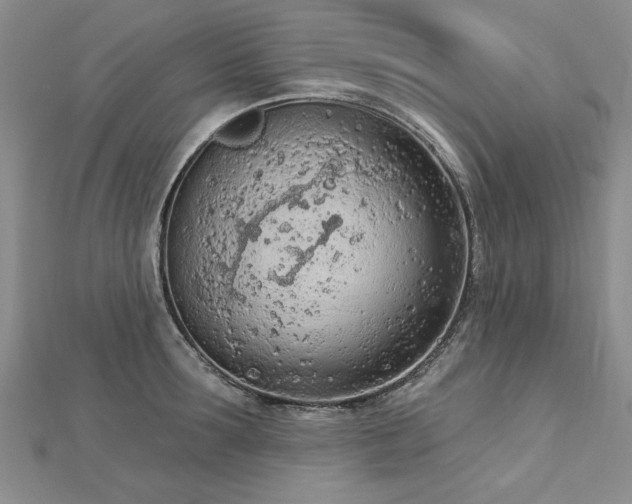 X0000112780899200908201526