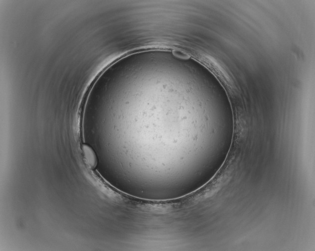 X0000112780900200908201526