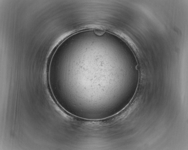 X0000112780902200908201526