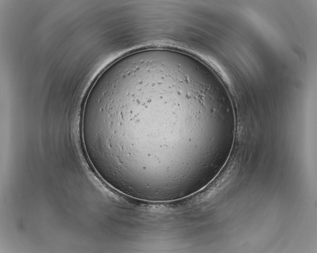 X0000112780903200908201526