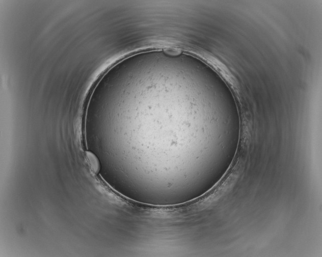 X0000112780904200908201526