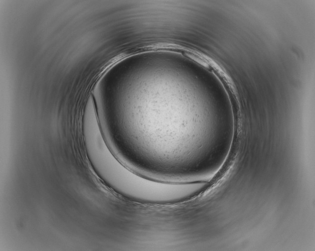 X0000112780905200908201526