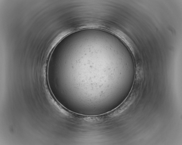 X0000112780906200908201526