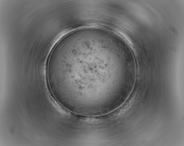 X0000112780907200908201526