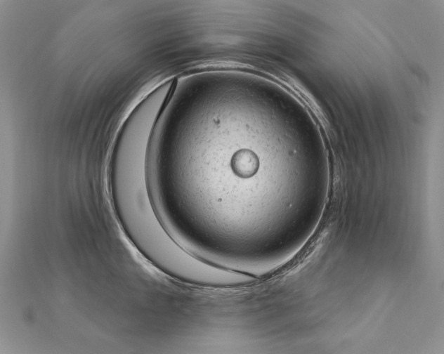 X0000112780909200908201526