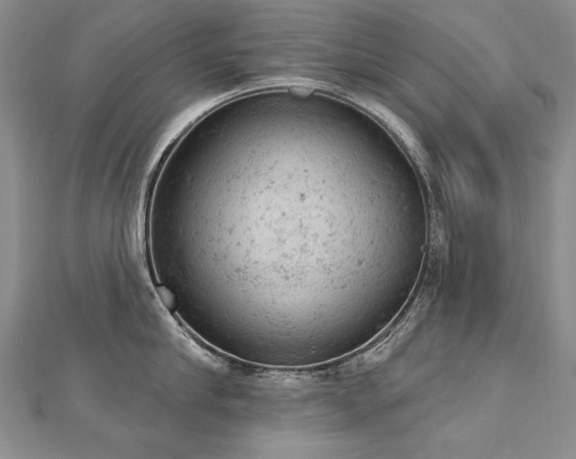 X0000112780910200908201526