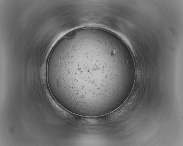 X0000112780911200908201526