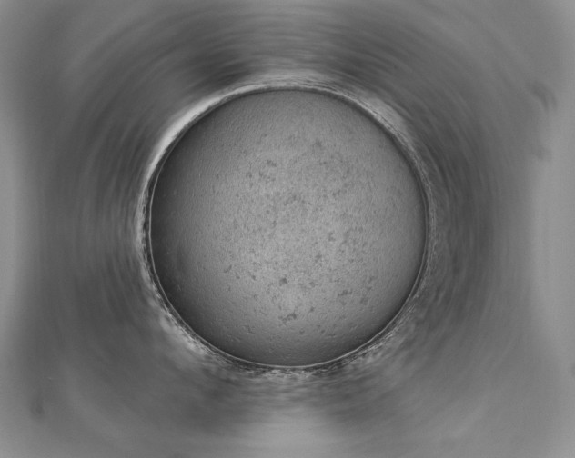 X0000112780912200908201526