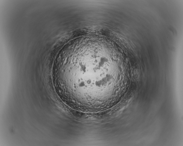 X0000112780913200908201525