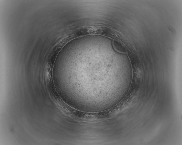 X0000112780914200908201525