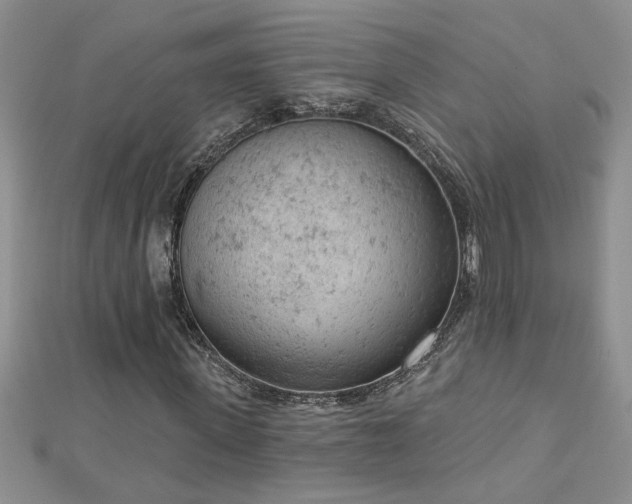 X0000112780915200908201525