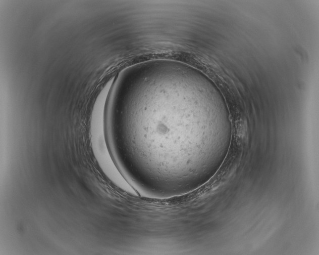 X0000112780916200908201525