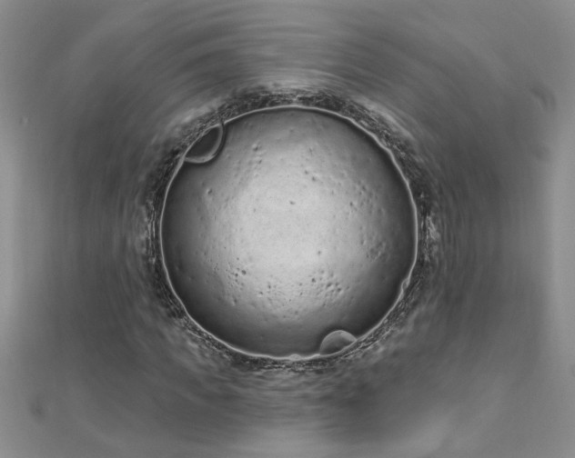 X0000112780917200908201525