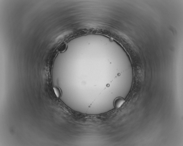 X0000112780918200908201525