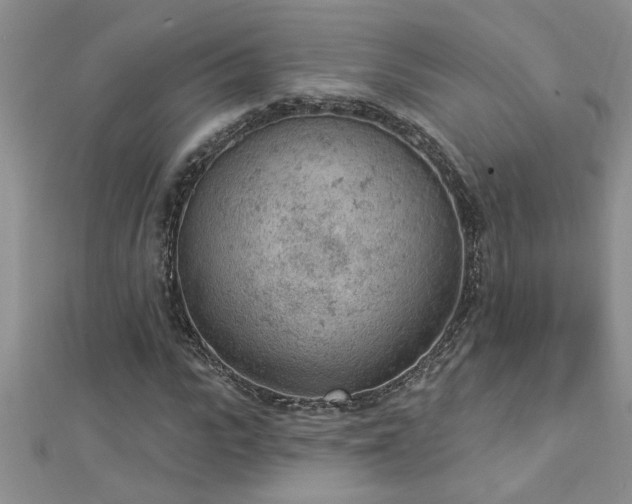 X0000112780919200908201525