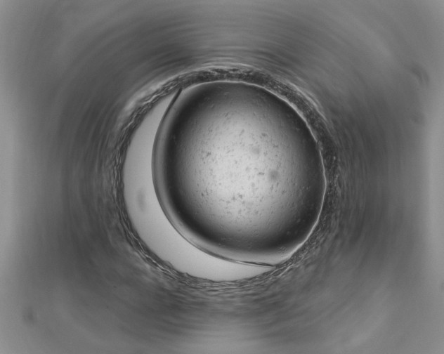 X0000112780920200908201525