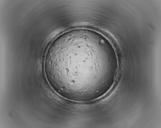 X0000112780921200908201525