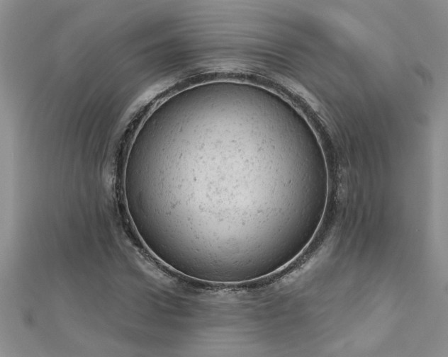 X0000112780922200908201525