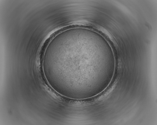 X0000112780923200908201525