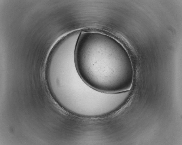 X0000112780924200908201525