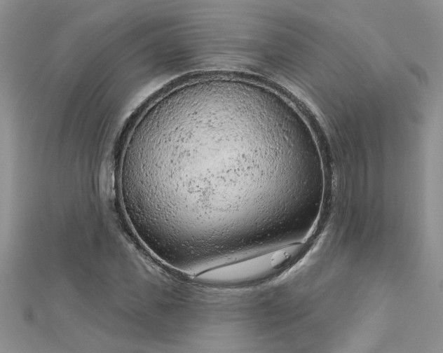 X0000112780925200908201525