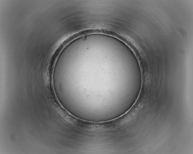 X0000112780927200908201525