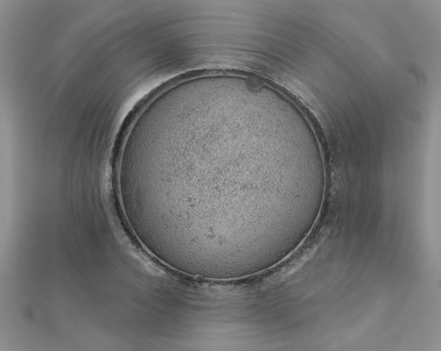 X0000112780928200908201525