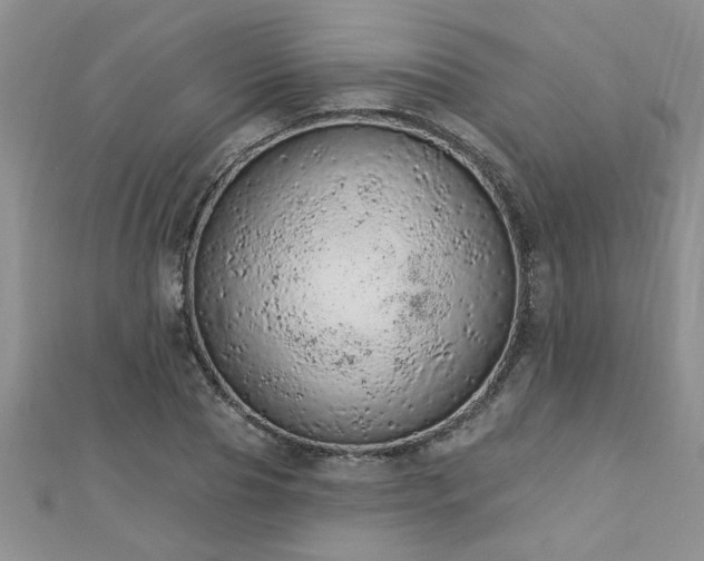 X0000112780929200908201525