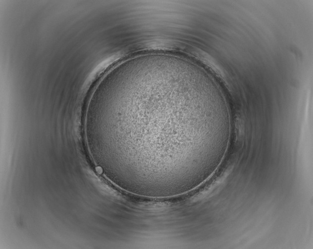 X0000112780930200908201525