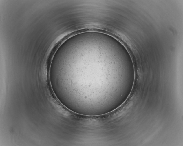 X0000112780931200908201525