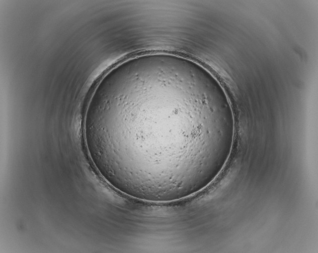 X0000112780933200908201526