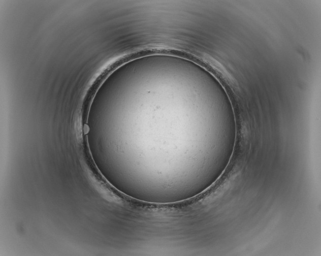 X0000112780934200908201526