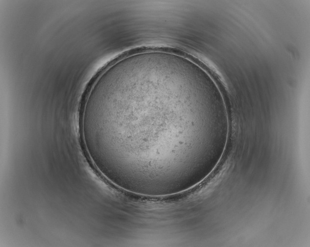 X0000112780935200908201526