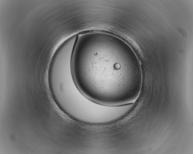 X0000112780936200908201526