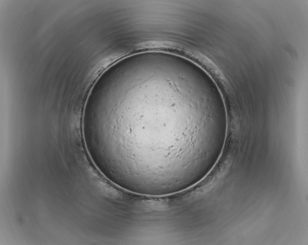 X0000112780937200908201526