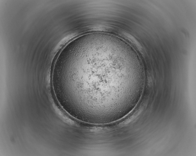 X0000112780938200908201526