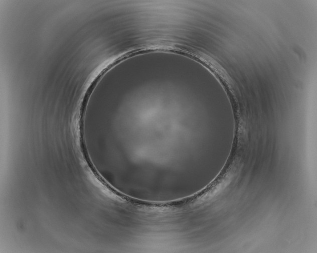 X0000112780941200908201526