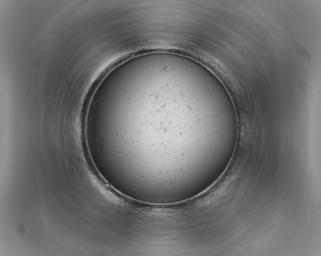 X0000112780942200908201526