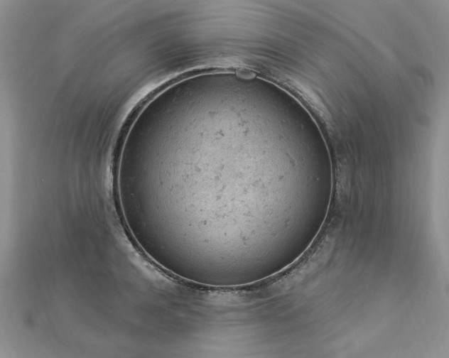 X0000112780944200908201526