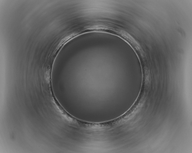 X0000112780945200908201526