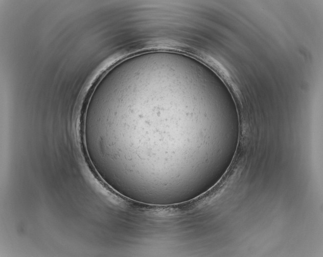 X0000112780947200908201526