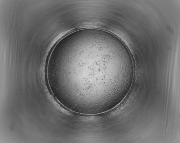 X0000112780949200908201526